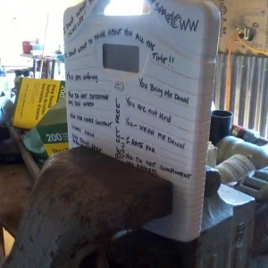 Guest Blogger: Scale: Zero. Woman: Won!