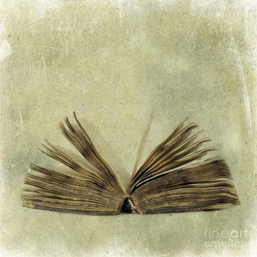 The Book of Jonathan