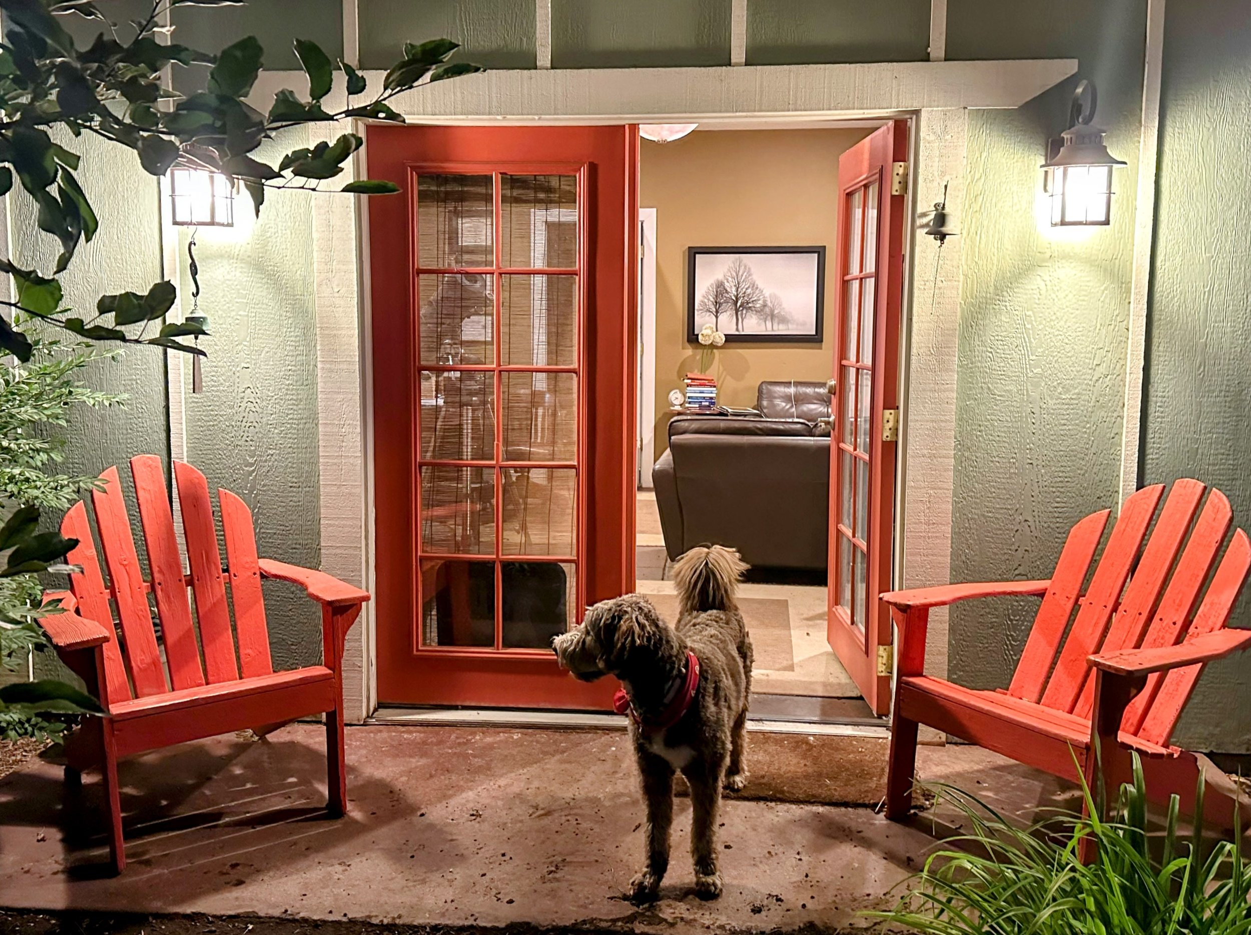 Ginger keeping guard for evening appointments  