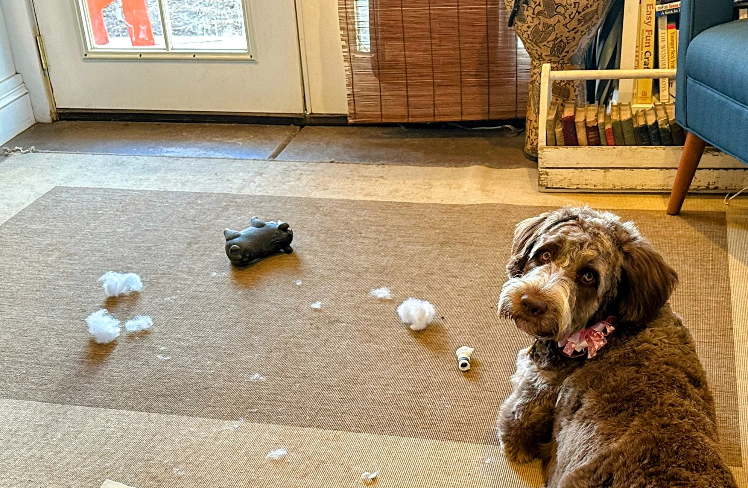 Toys do not maintain their original shape for long