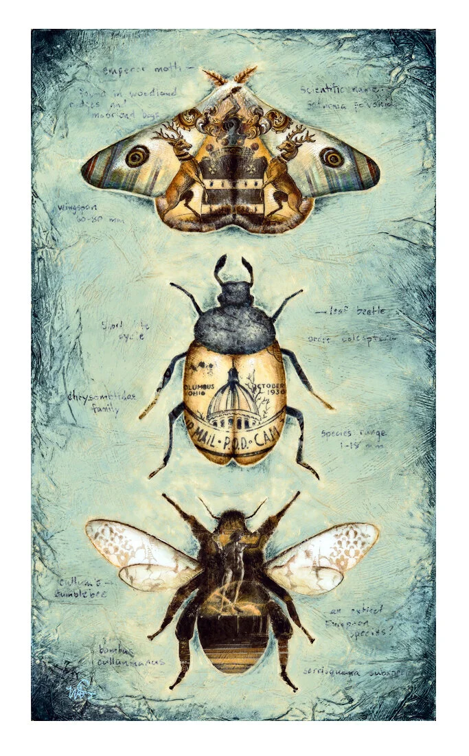 Field Observations I - Limited Edition Print
