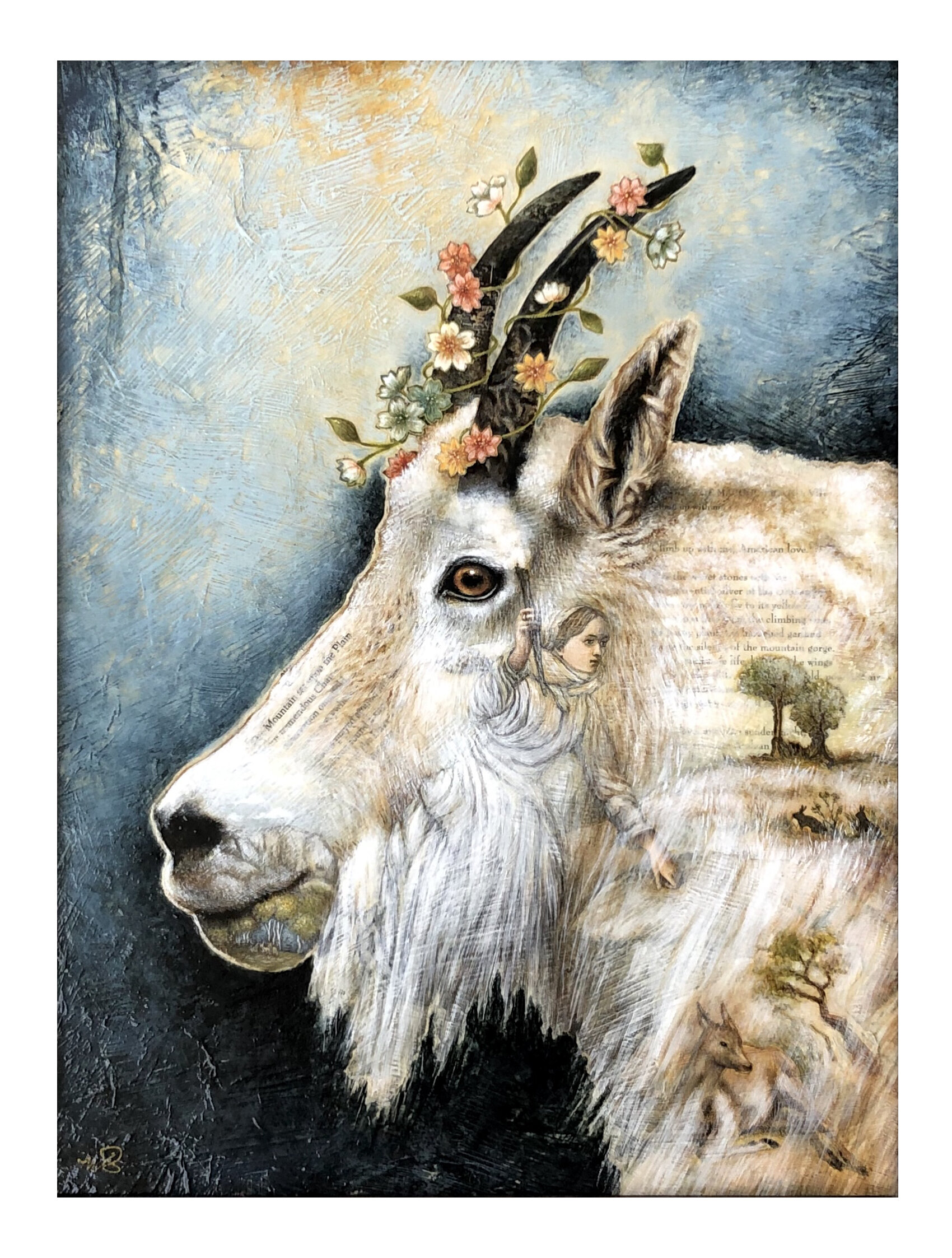 Adelaide - Limited edition print