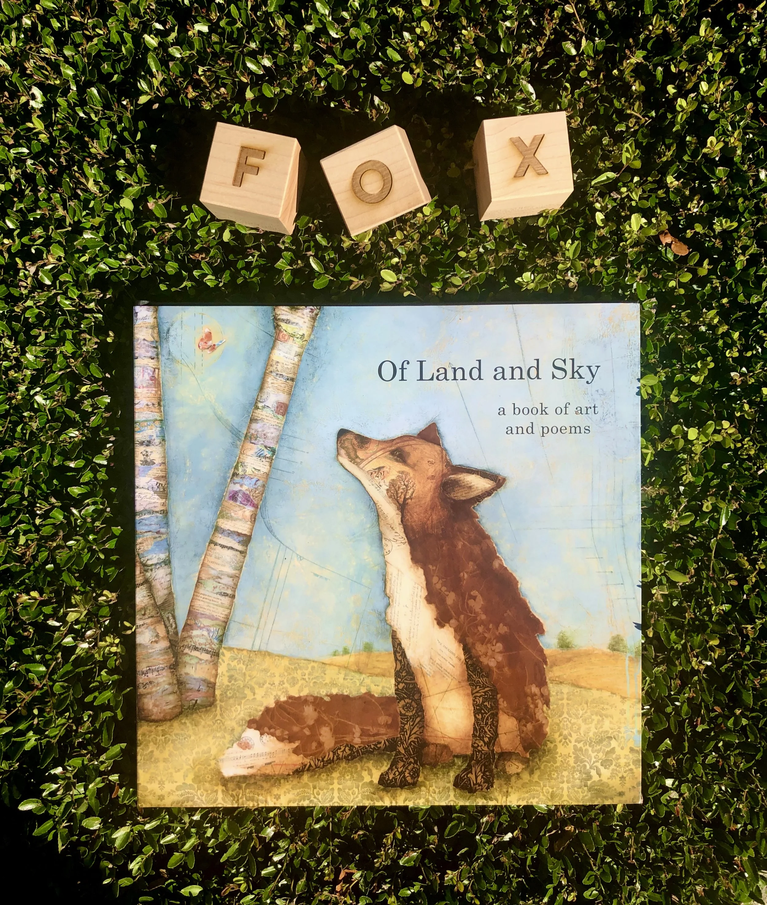 BookShot_fox.jpg