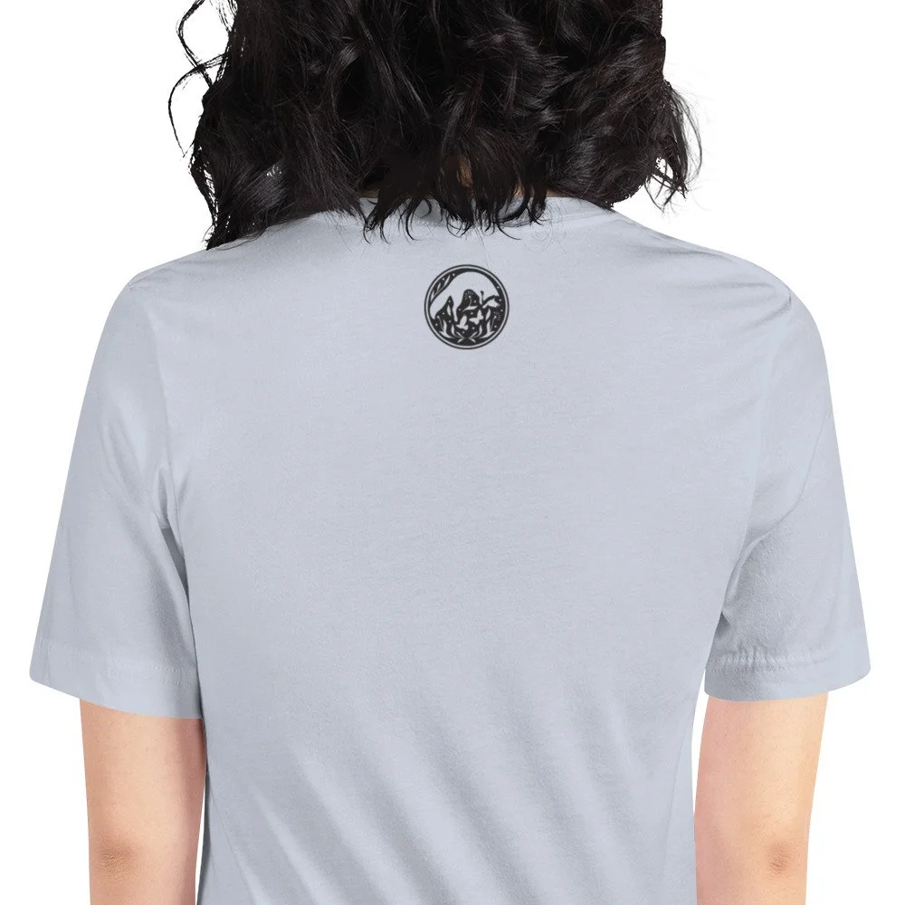 unisex-staple-t-shirt-light-blue-zoomed-in-6825300ab5529.jpg