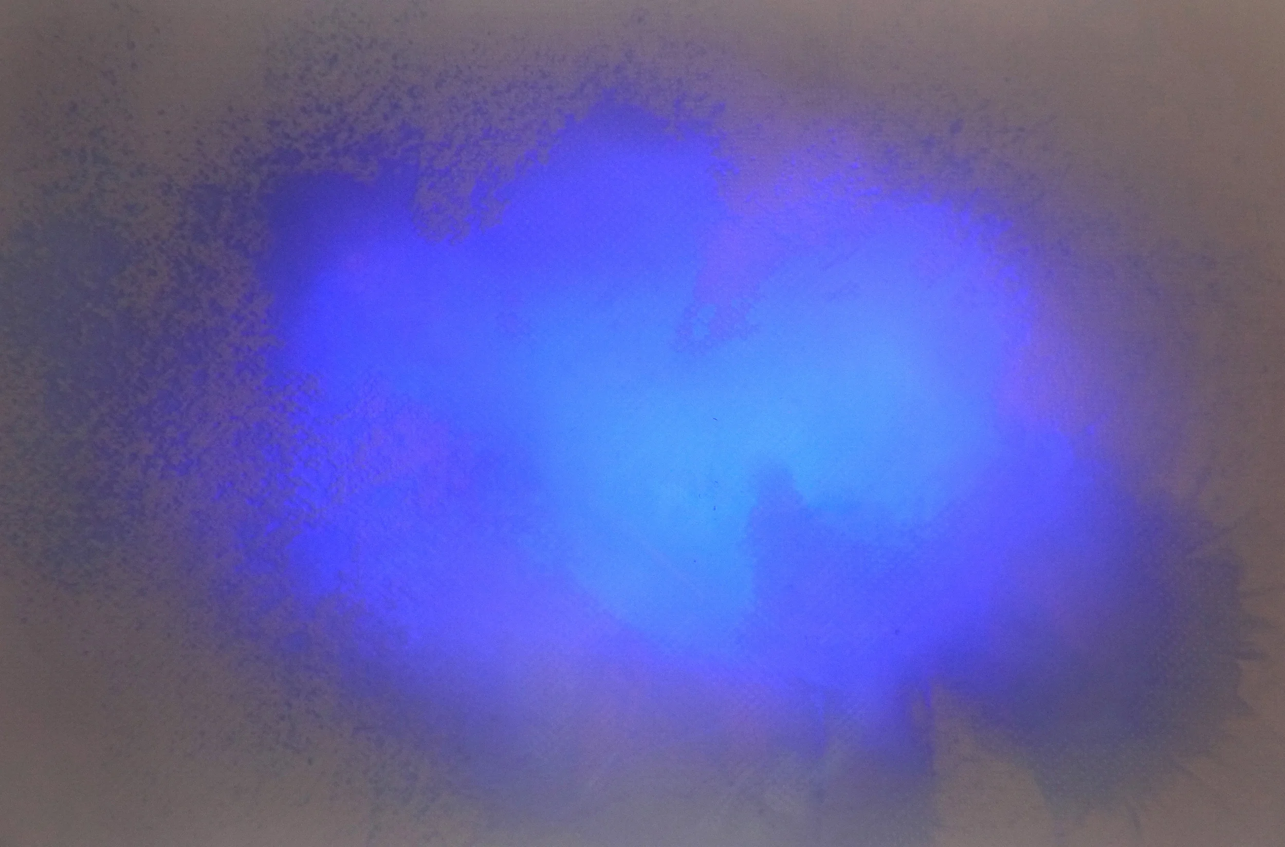Final_oil_02.jpg