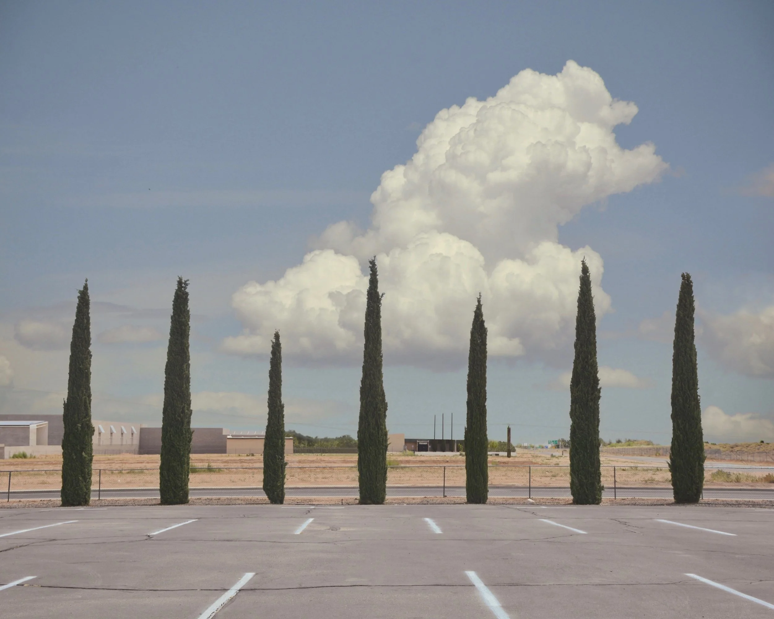 Kingman_Cypress.jpg