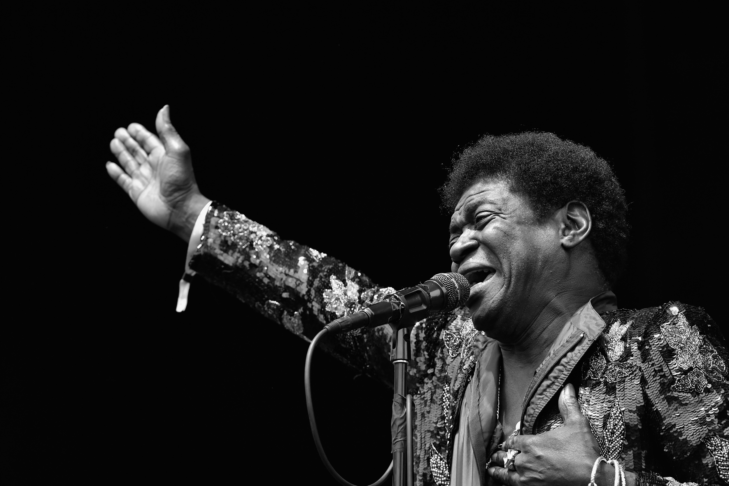 Charles Bradley at Boston Calling