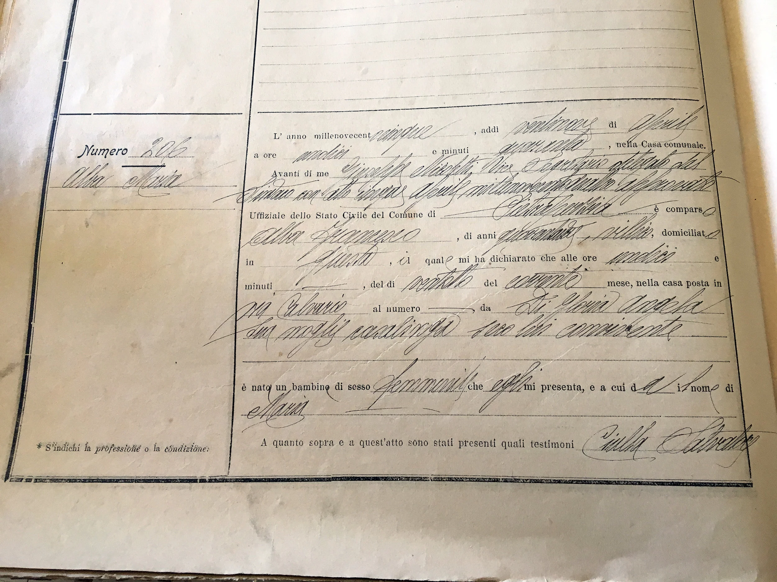 Maria Alba Birth Records
