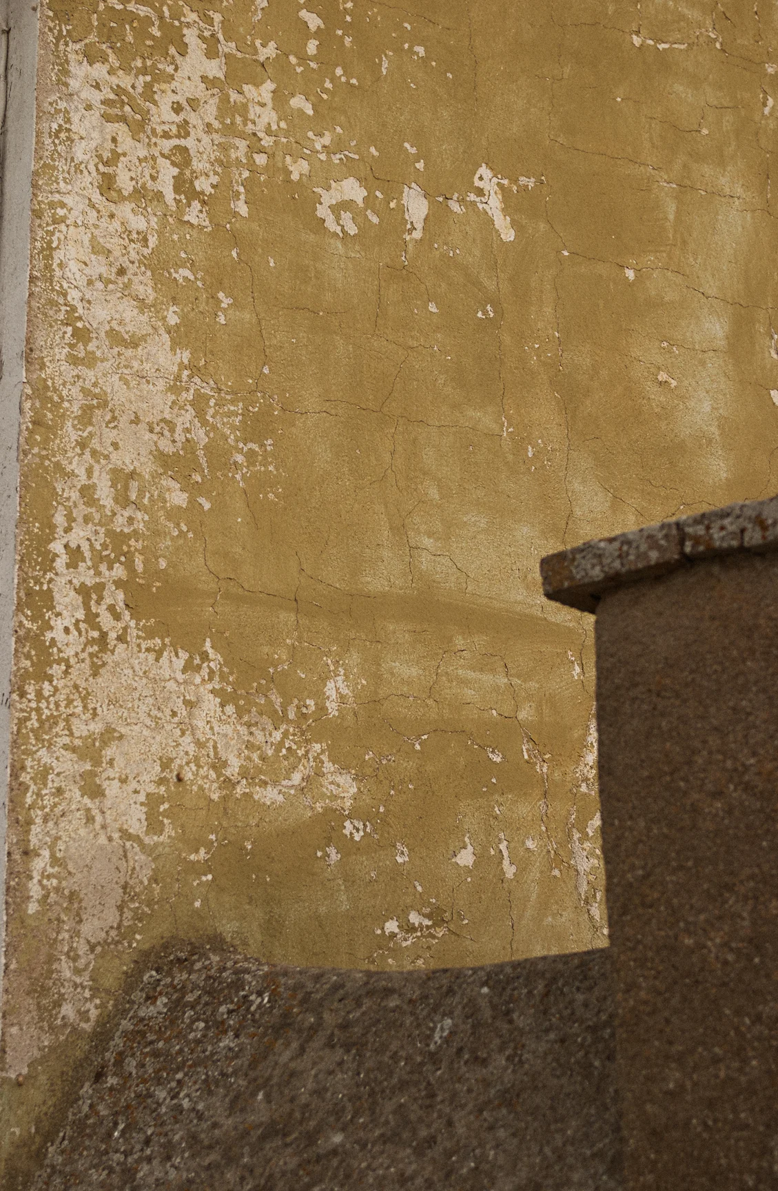 CRW_3671.jpg