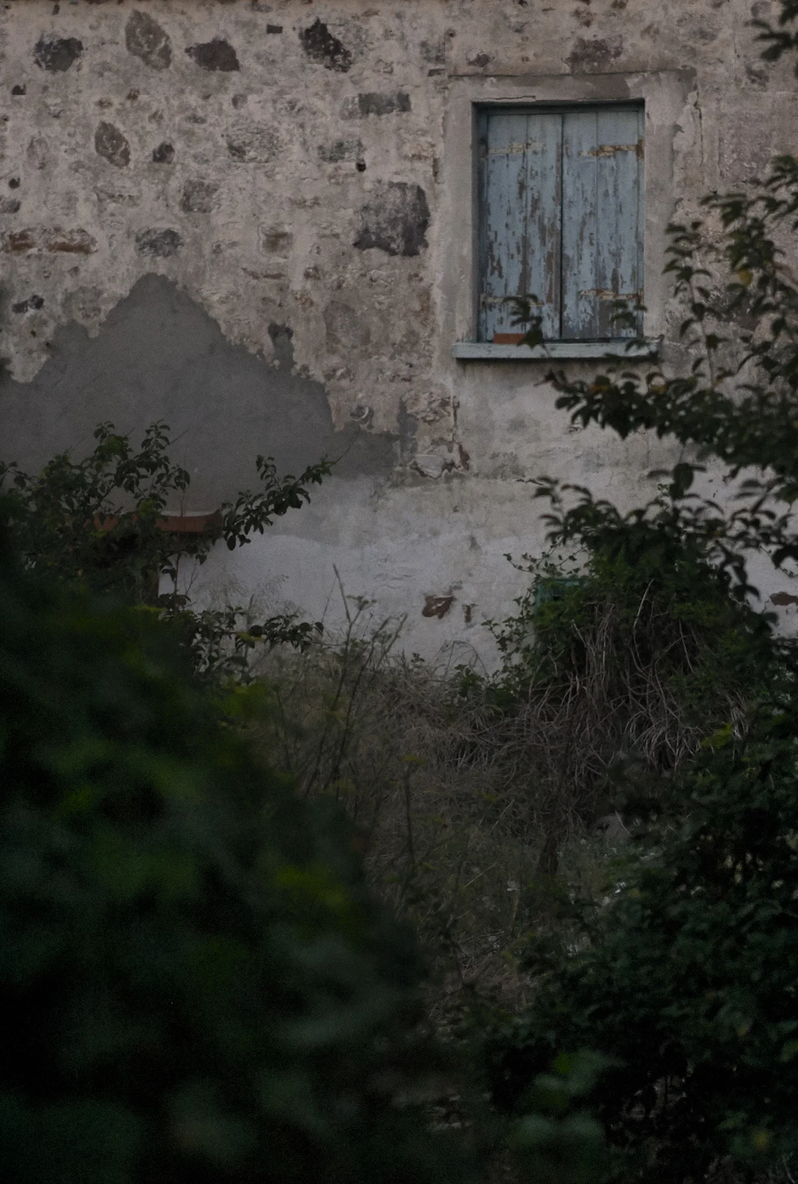 CRW_3725.jpg