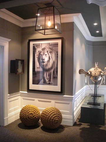 Grey walls with Animal print.jpg