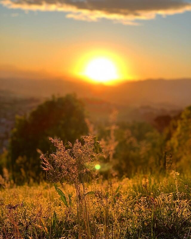 Looking for the beauty in all of this chaos right now. Austin and I are hunkered down in Kansas for the time being. I had several projects postponed and cancelled a couple of fun trips I had planned. Looks like the world is continuing to close down. 