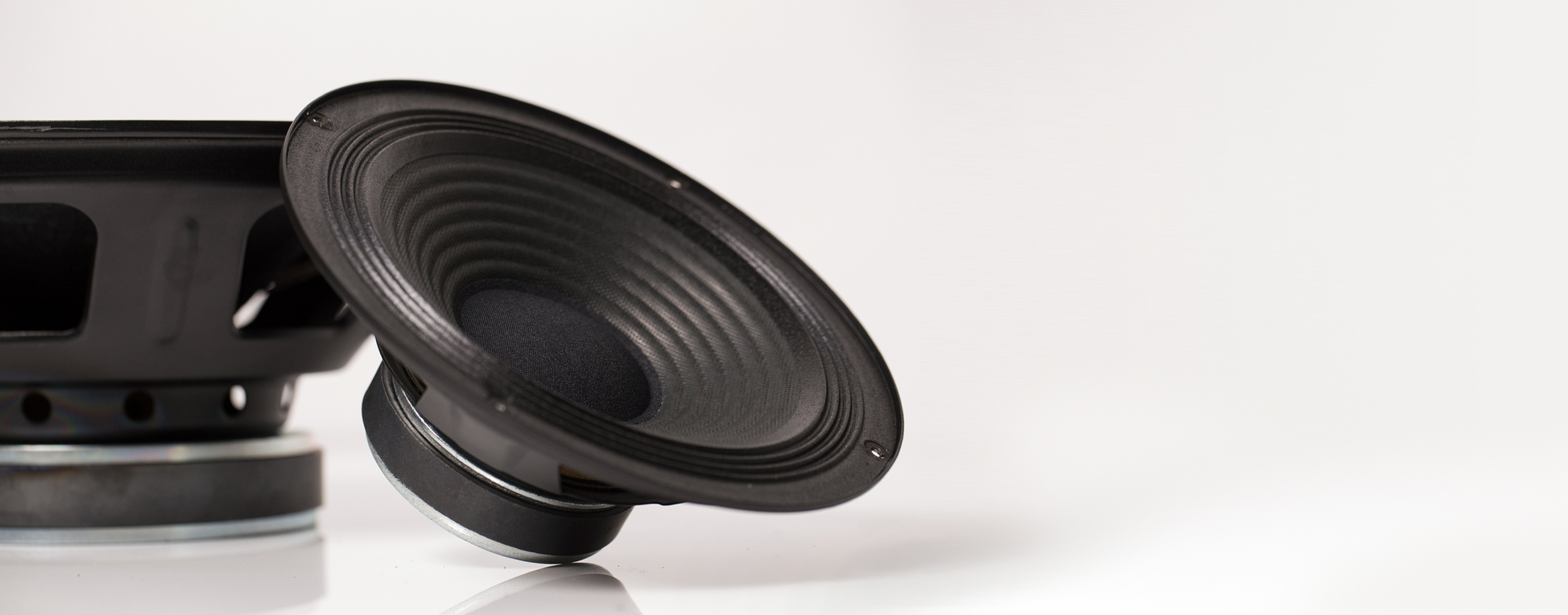 Custom Speaker Design