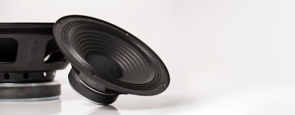 Custom Speaker Design