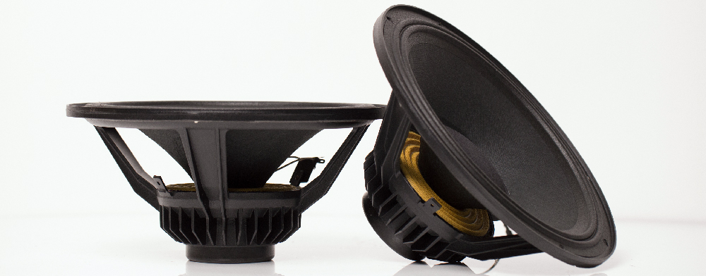Custom Speaker Design