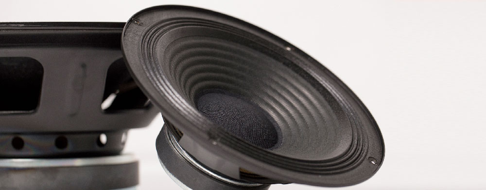Custom Speaker Design
