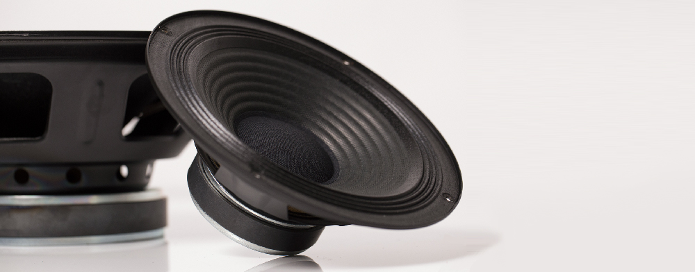 Custom Speaker Design