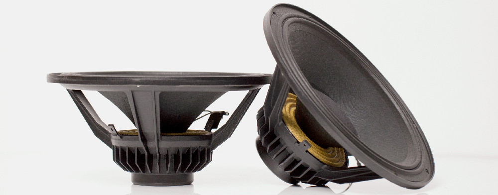Custom Speaker Design