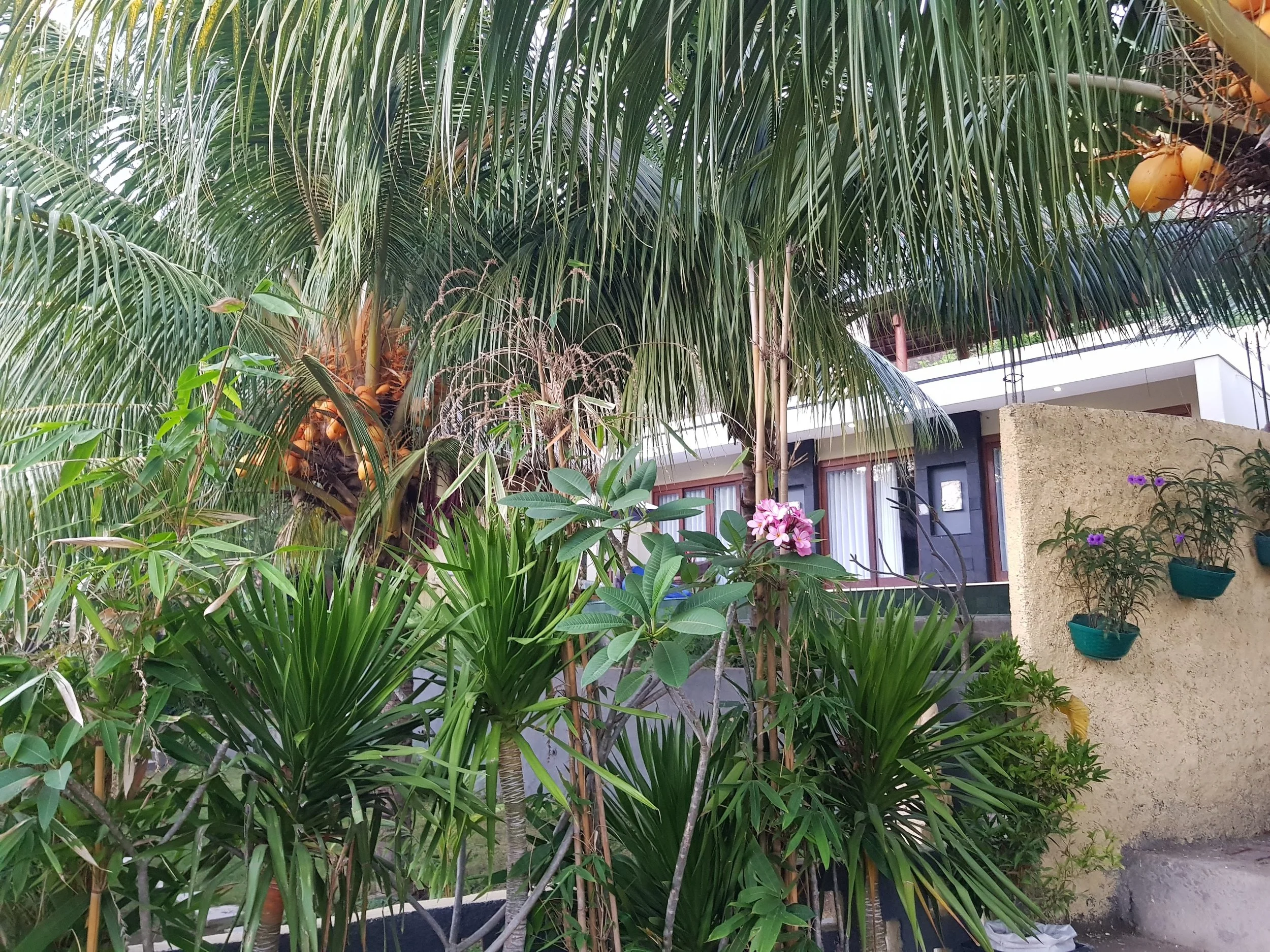20170729_063225.jpg