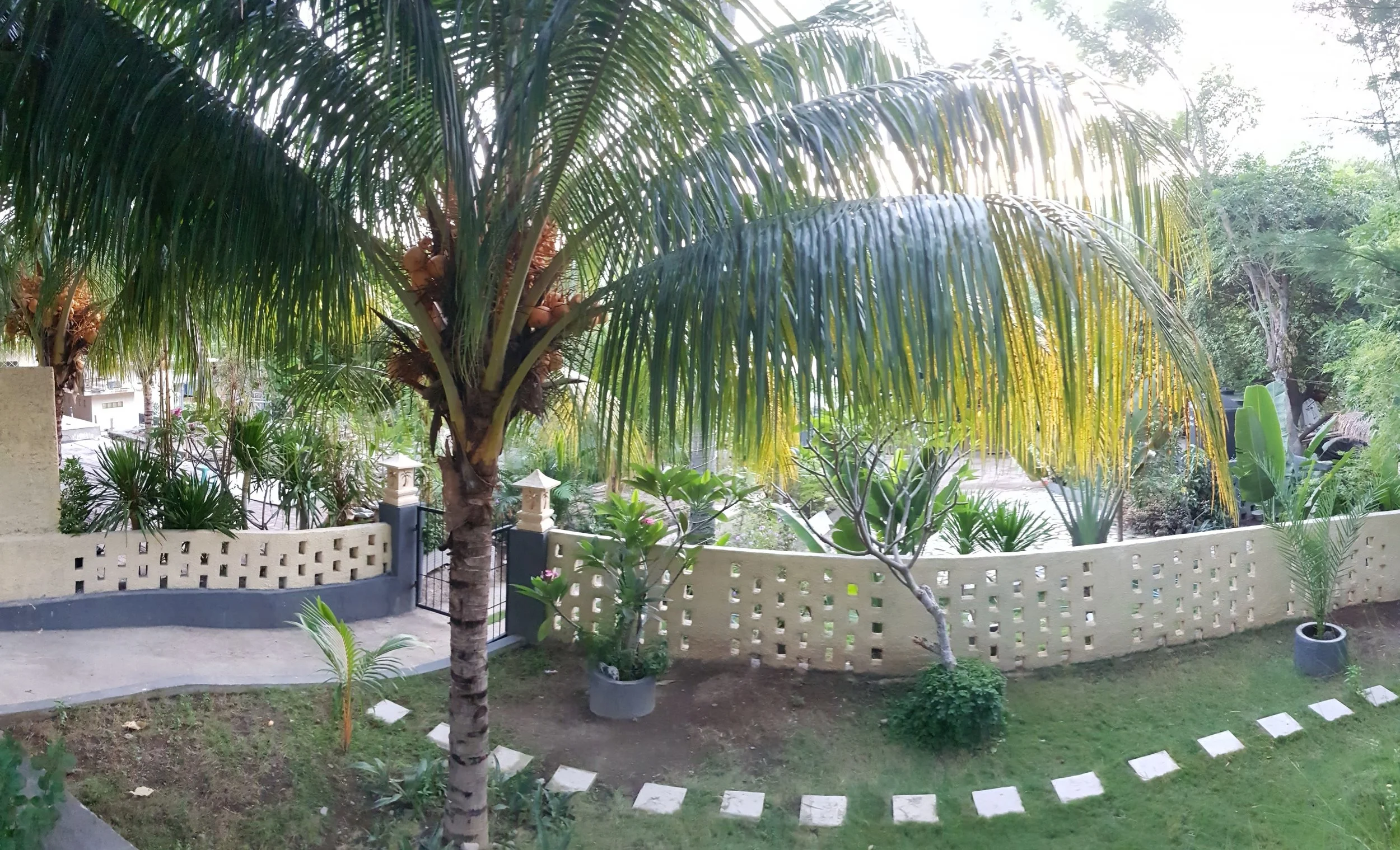 20170729_063400.jpg