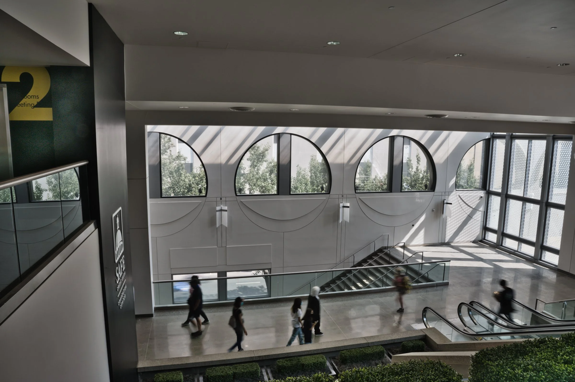 Z62_0469-September 04, 2021-HDR_LuminarAI-edit.jpg