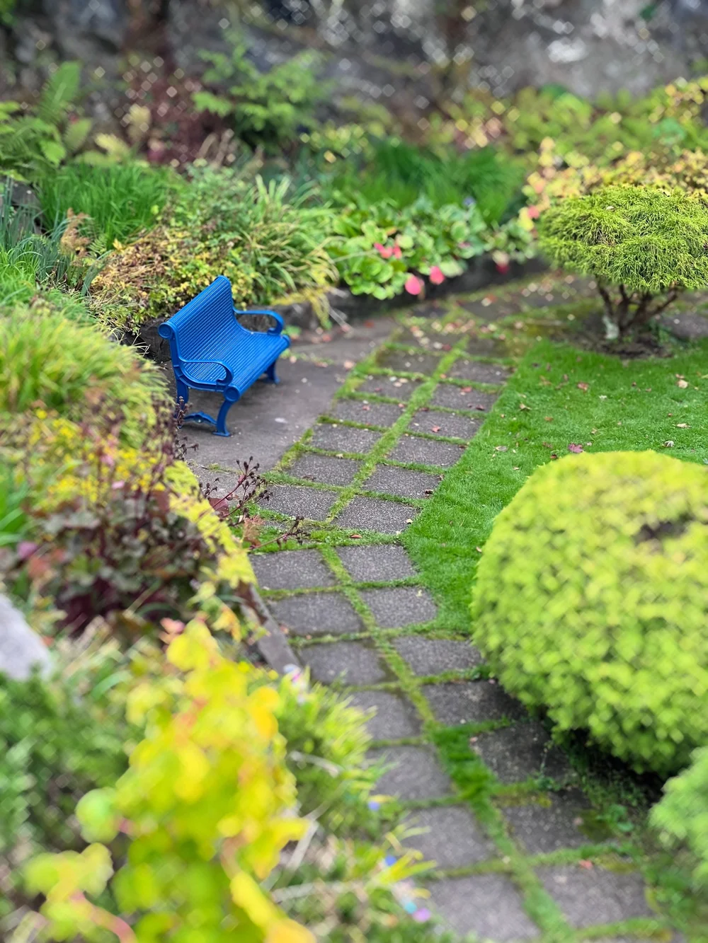 2023-09-21 11.26.13-September 21, 2023.jpg