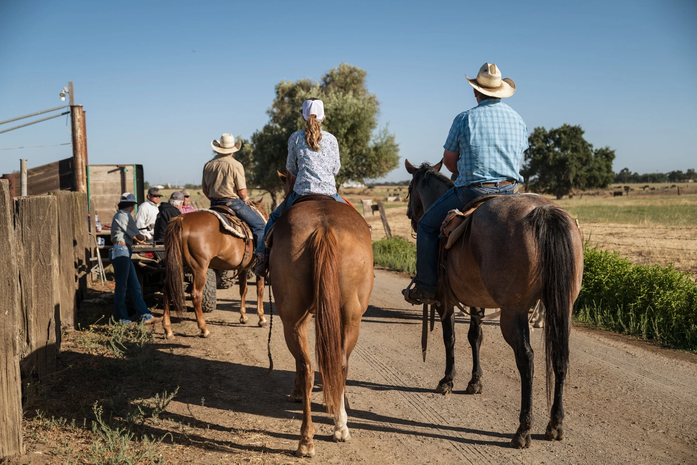 Jason Mayan rides alongside his daughter Mary on horseback at first light during Mahon Ranch cattle roundup Sacramento County July 2025