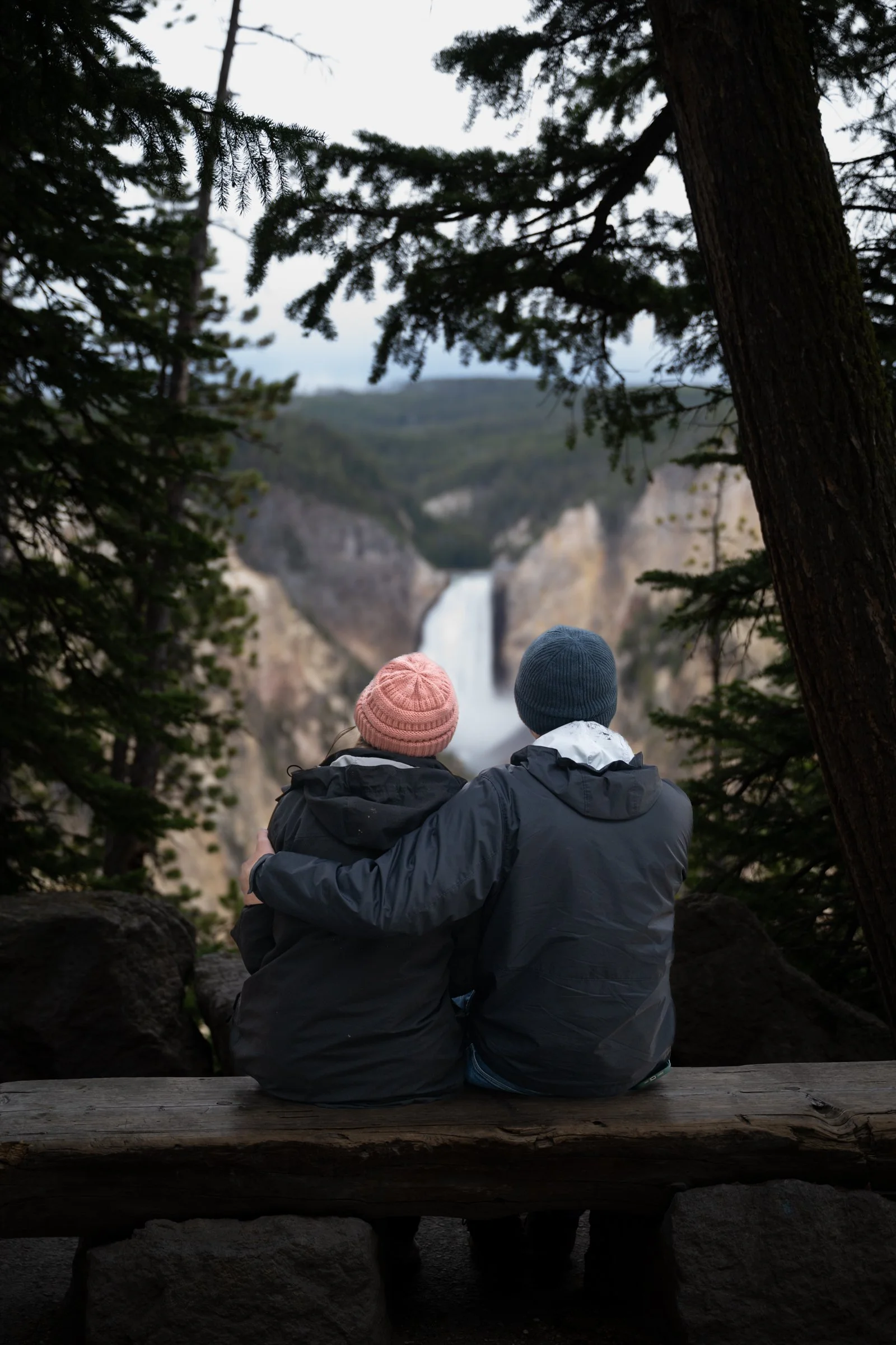 Two people sitting on a bench overlooking Lower Falls and the Grand Canyon of Yellowstone framed by pine trees