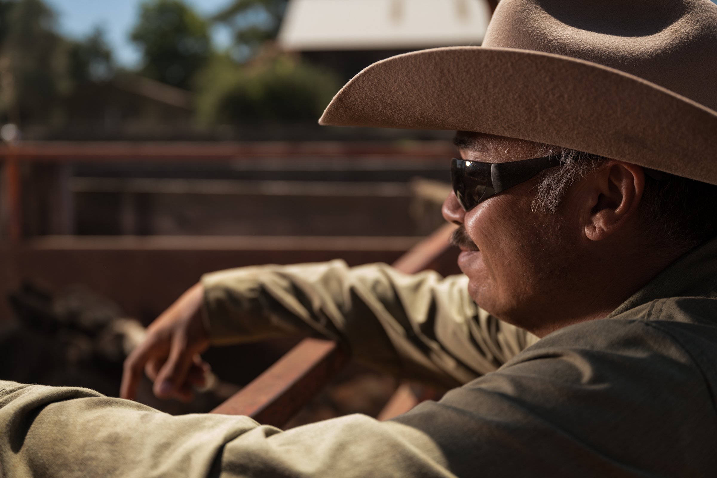 Cowboy Kona resting in shade at end of cattle roundup day at Mahon Ranch Sacramento County California July 2025
