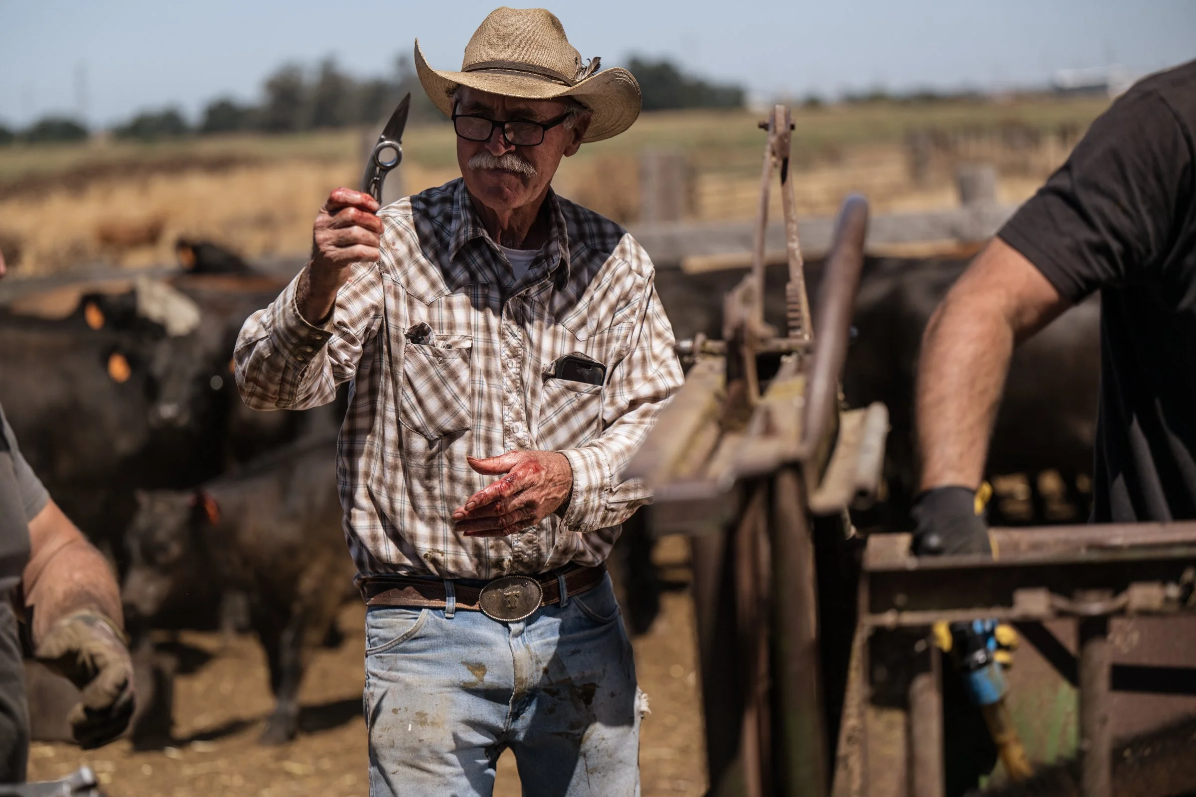 Tom Mayan holding historic knife in cattle field at Mahon Ranch Sacramento County California July 2025