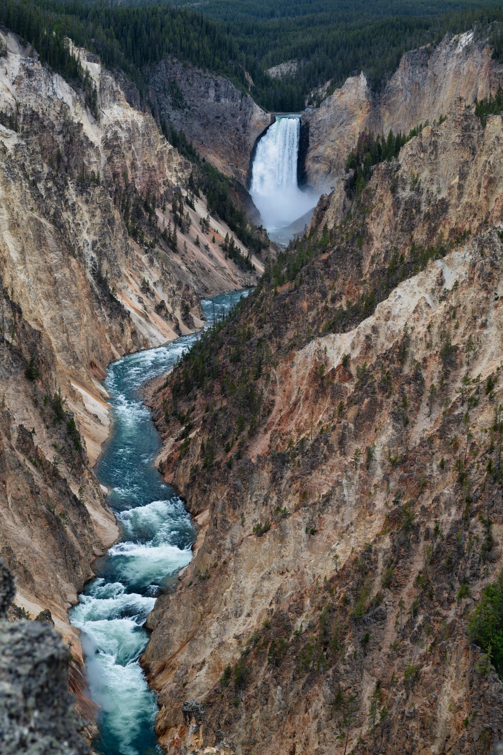 Lower Falls of the Yellowstone River viewed from Artist Point, Grand Canyon of Yellowstone National Park