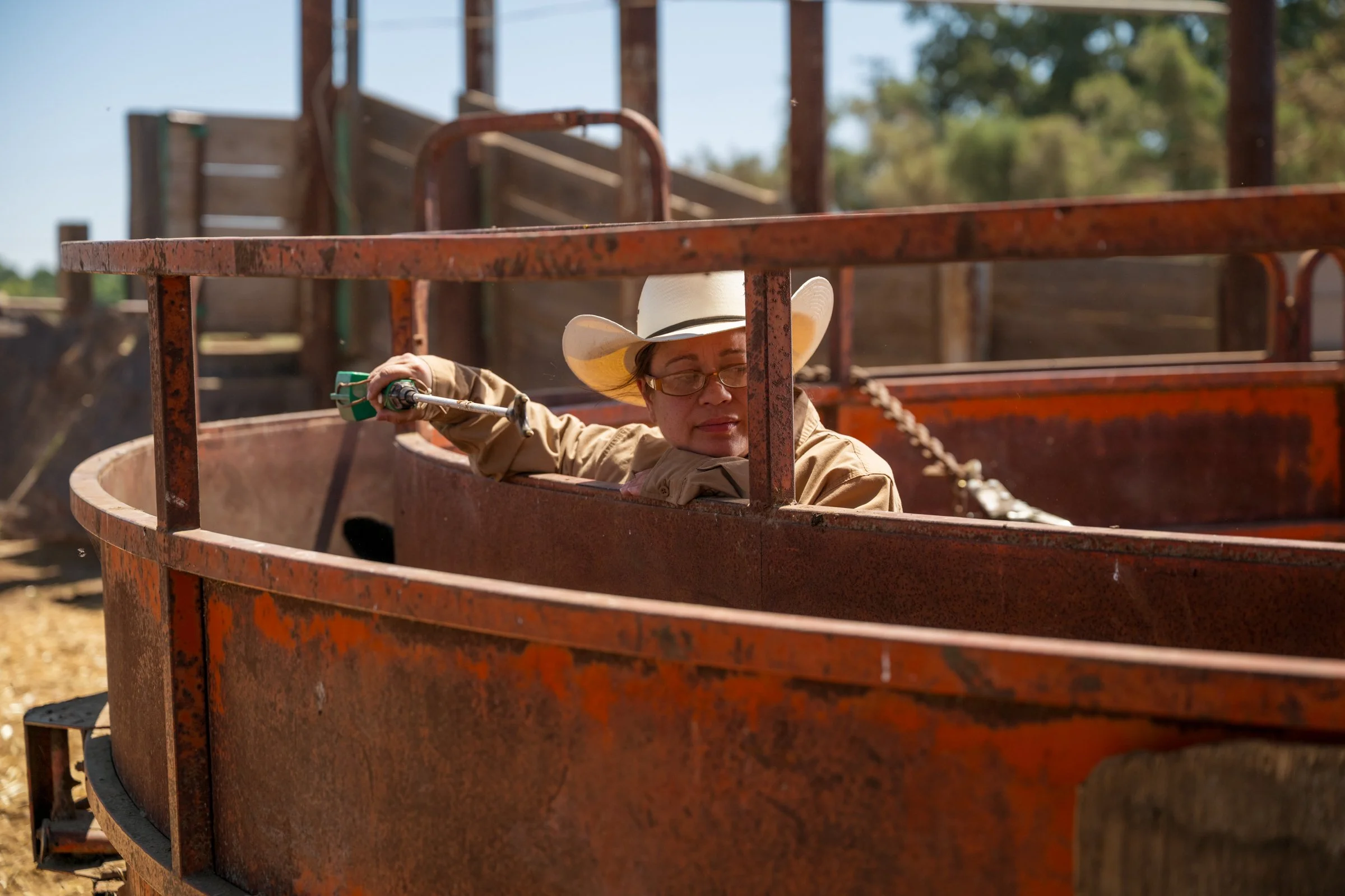 Tracy Lynn Mainville operating cattle chute controls at Mahon Ranch roundup Sacramento County California July 2025