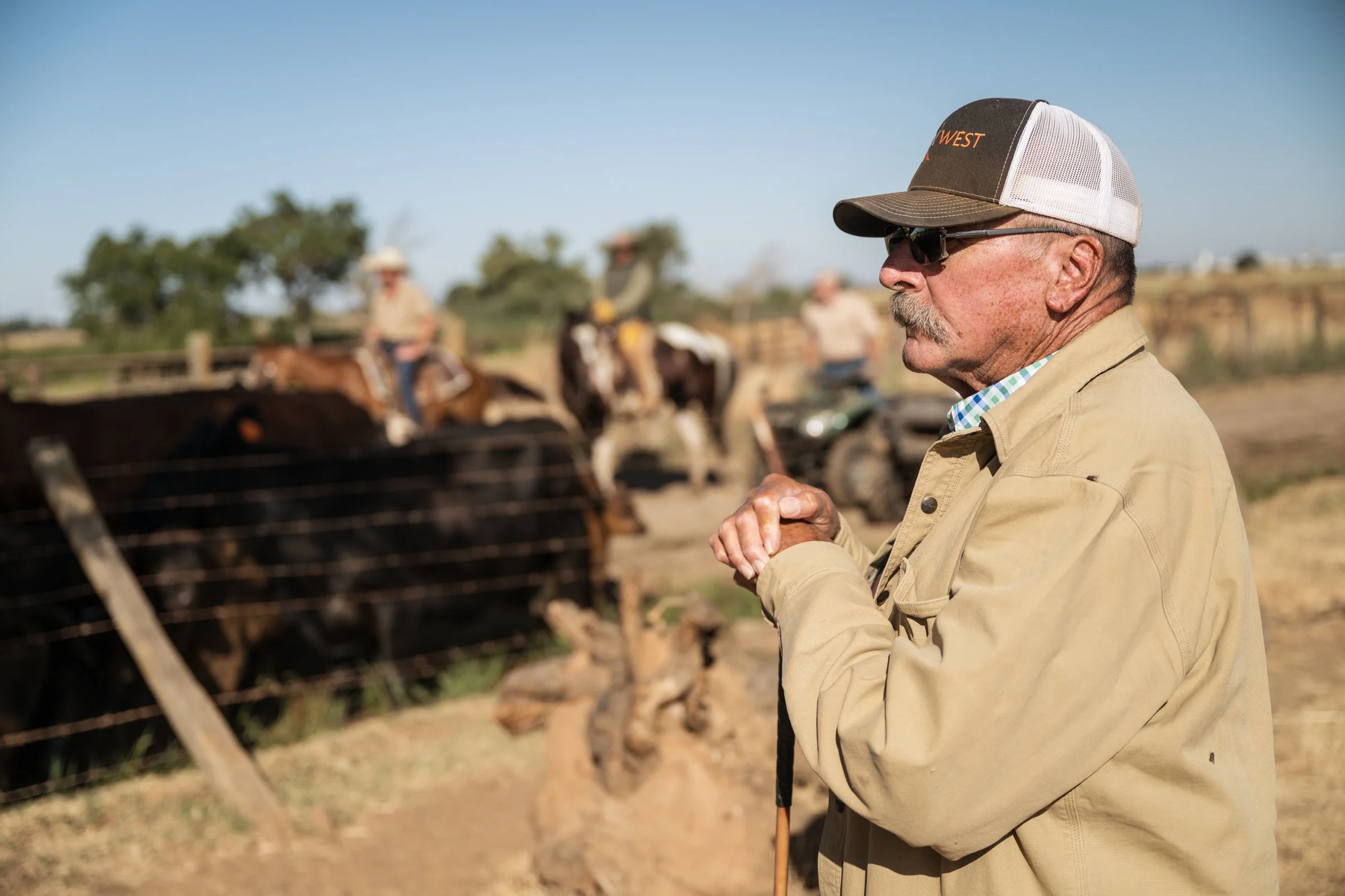 Jack Mahon watching cattle roundup operations at Mahon Ranch Sacramento County California July 2025