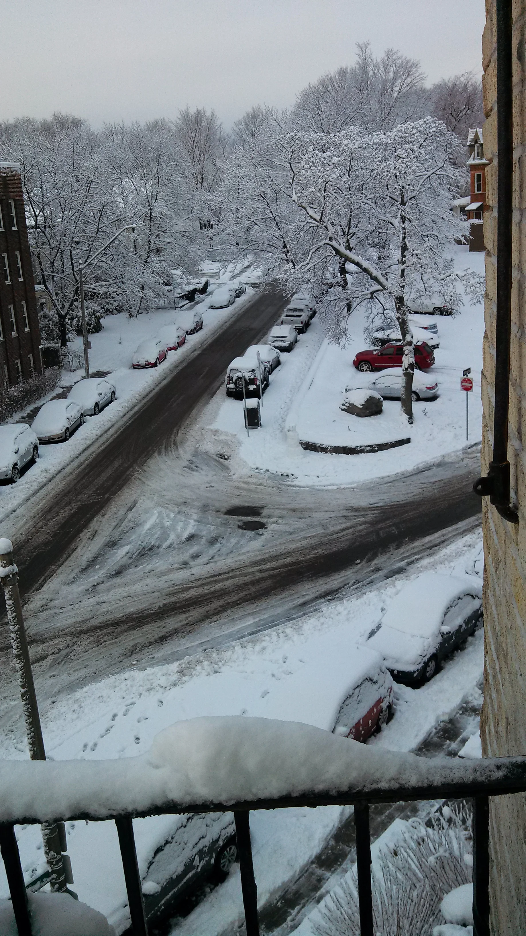 IMG_20121230_081656_830.jpg