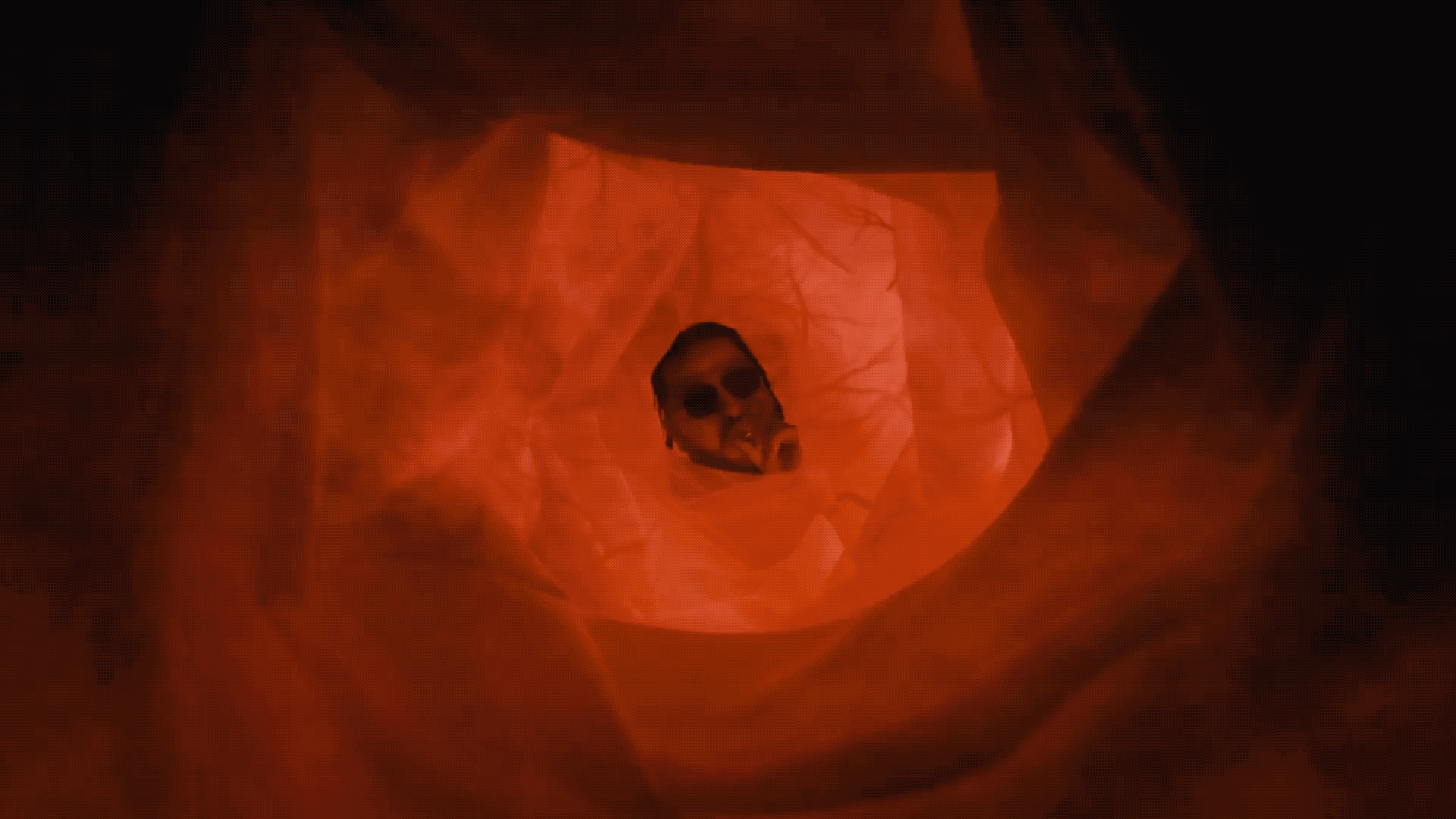 Belly_3.gif