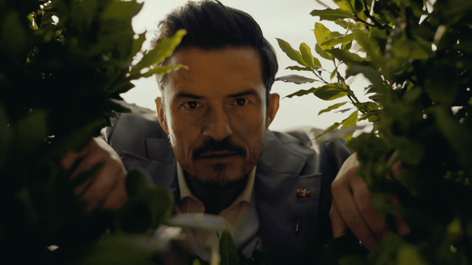 Staropramen - The Expert