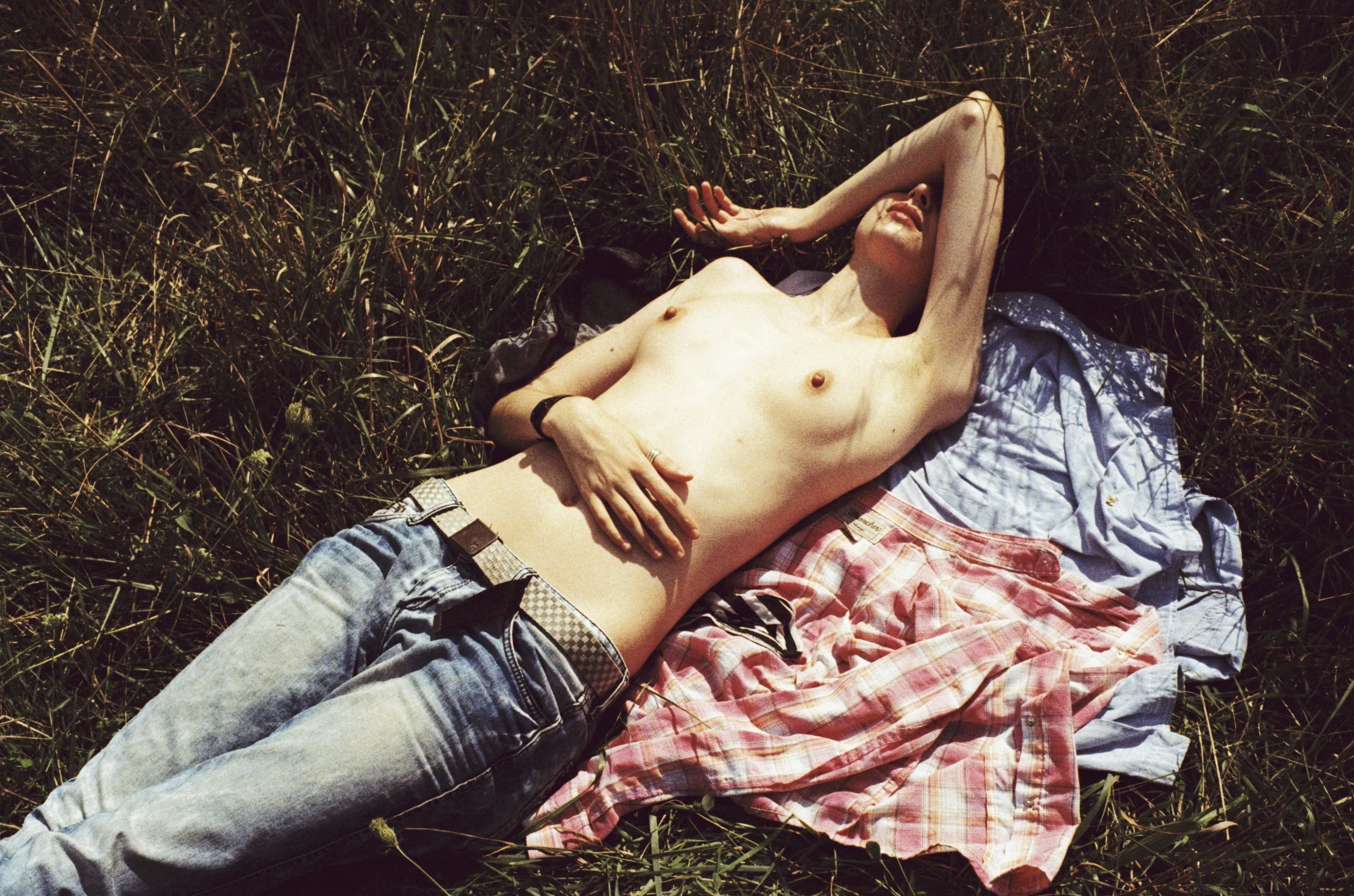 caprice in field, ohio, 2012