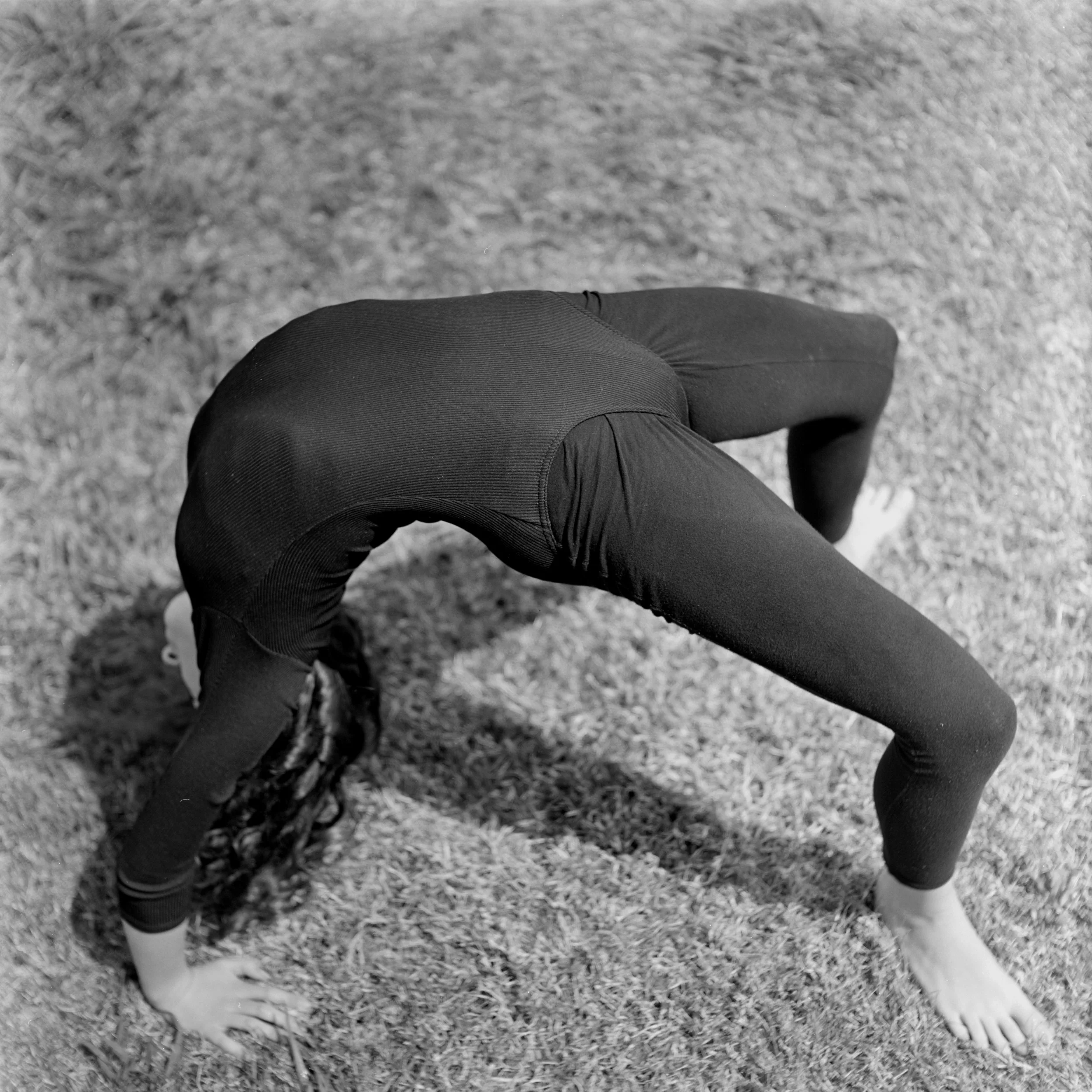 Elizabeth Backbend