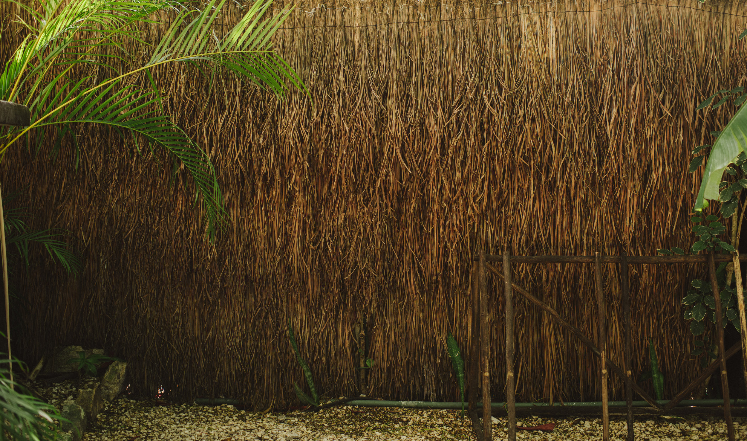 TRAVEL PHOTOGRAPHY - TULUM MEXICO - TWOTWENTY by CHI-CHI AGBIM-3.jpg