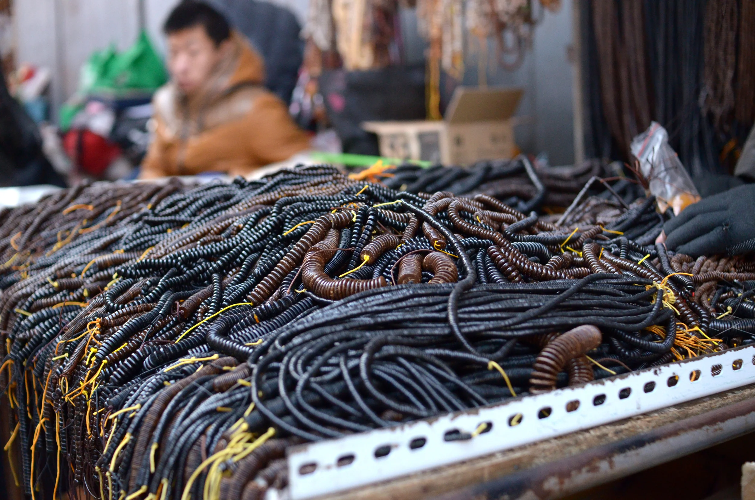 CENTIPEDES?