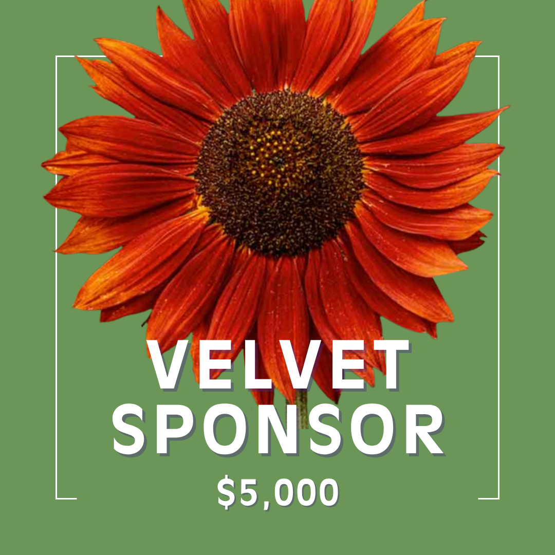 VELVET SPONSOR – $5,000