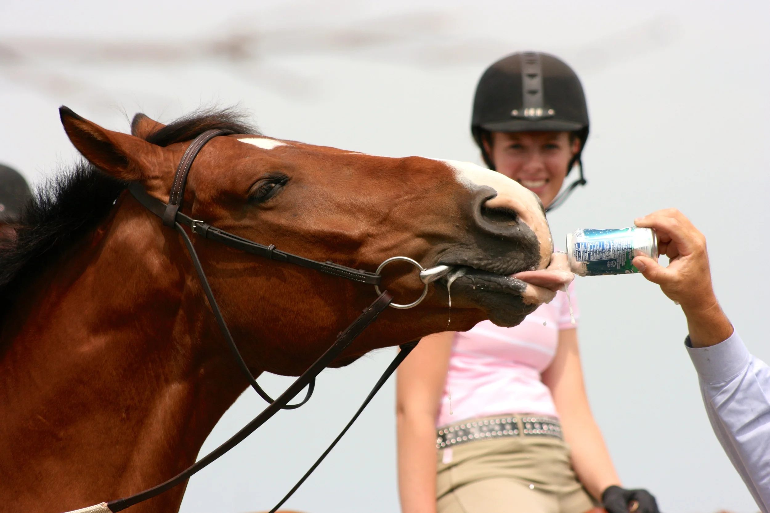 Playboy's Sprite.JPG