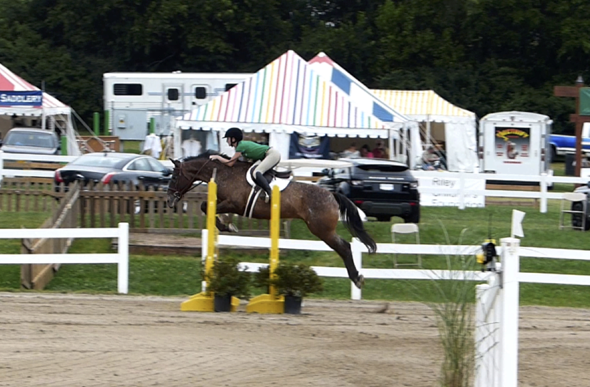 Nemo Jumpers TPH 2014.jpg