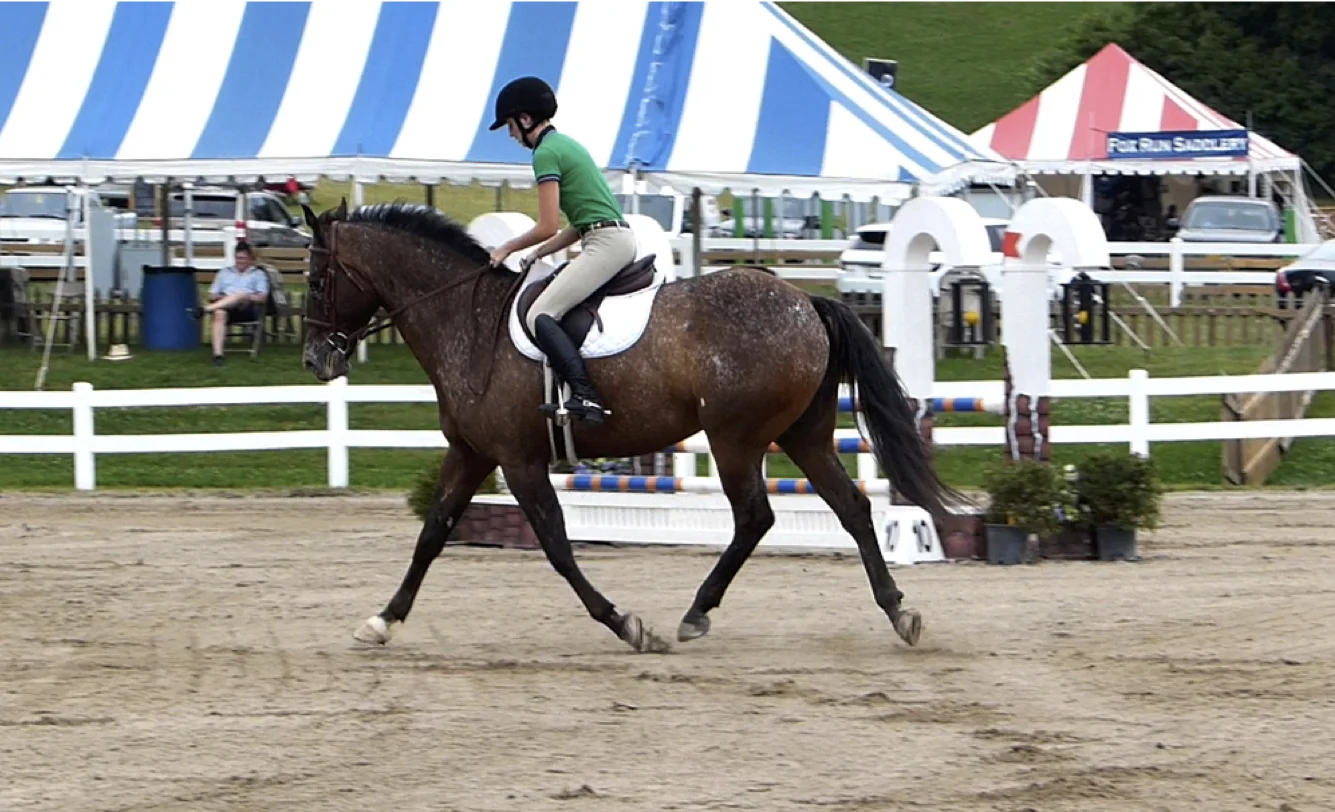 Nemo TPH 2014.jpg