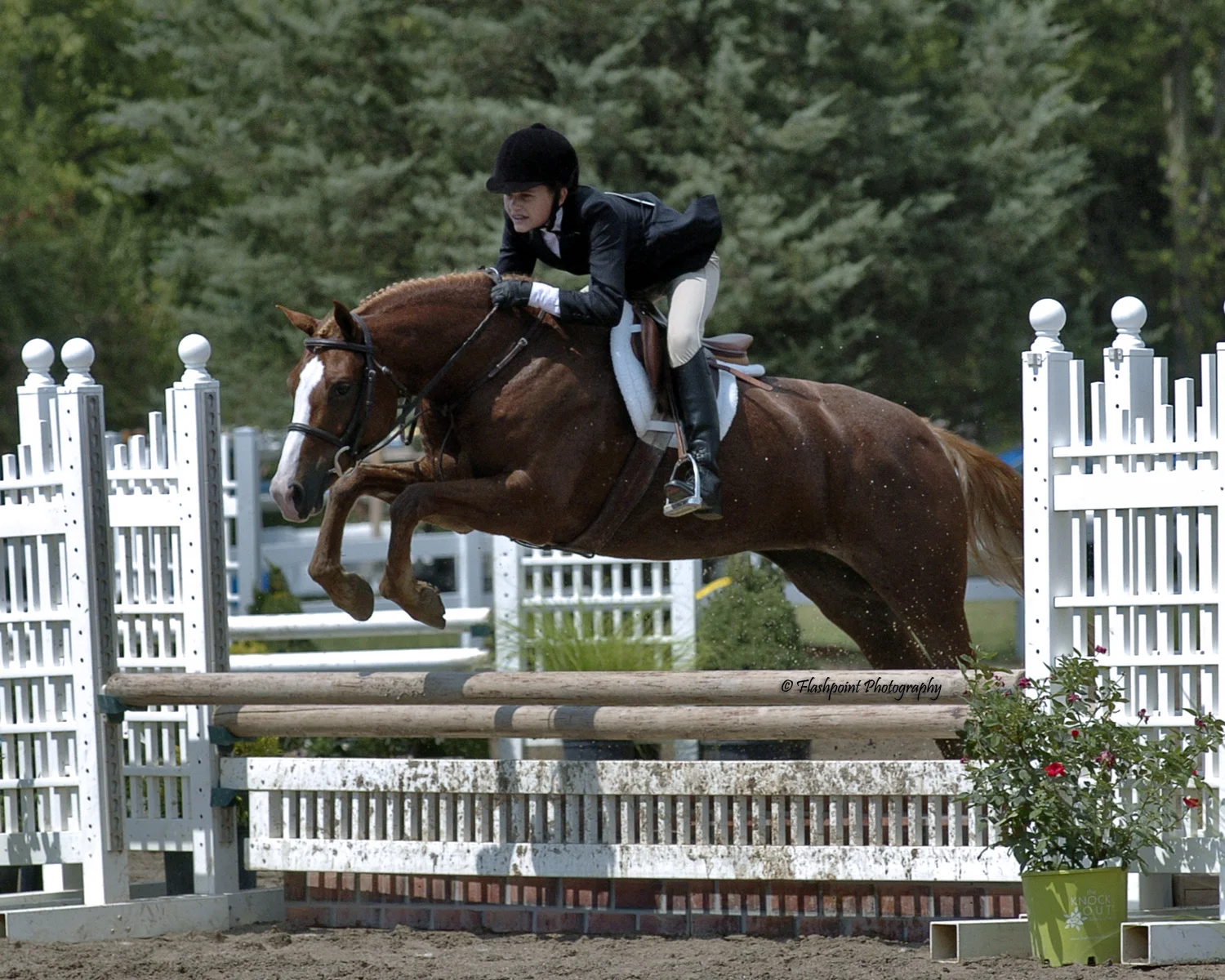 Economy_8157_Blue Melody_Brian Leach_Aerin Fortune_Intermediate Rider.jpg