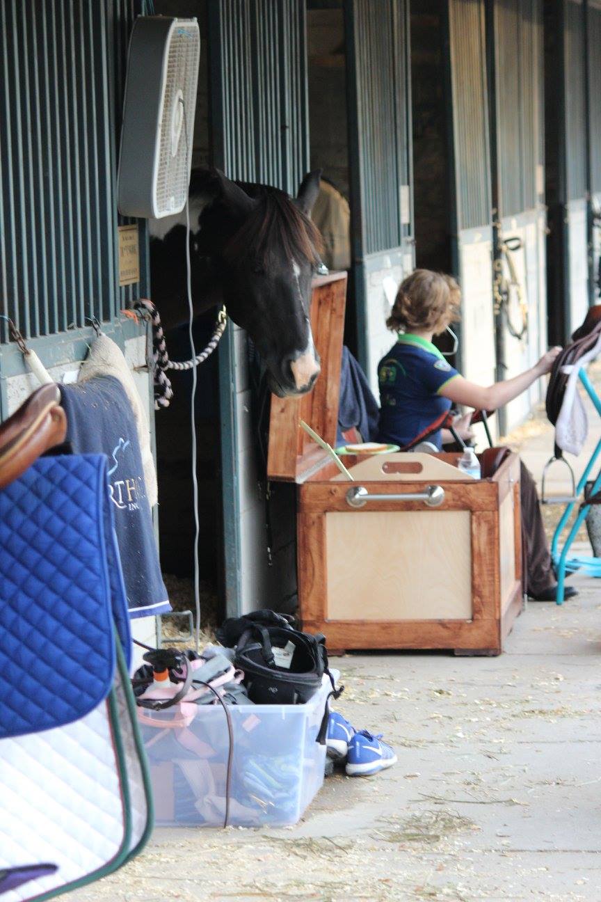 Horse shows, i.e. LOTS of tack cleaning!!!