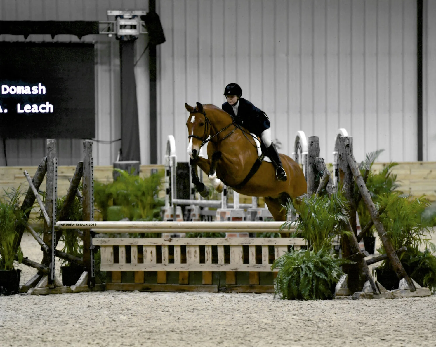 PB March EQ 2019.jpg