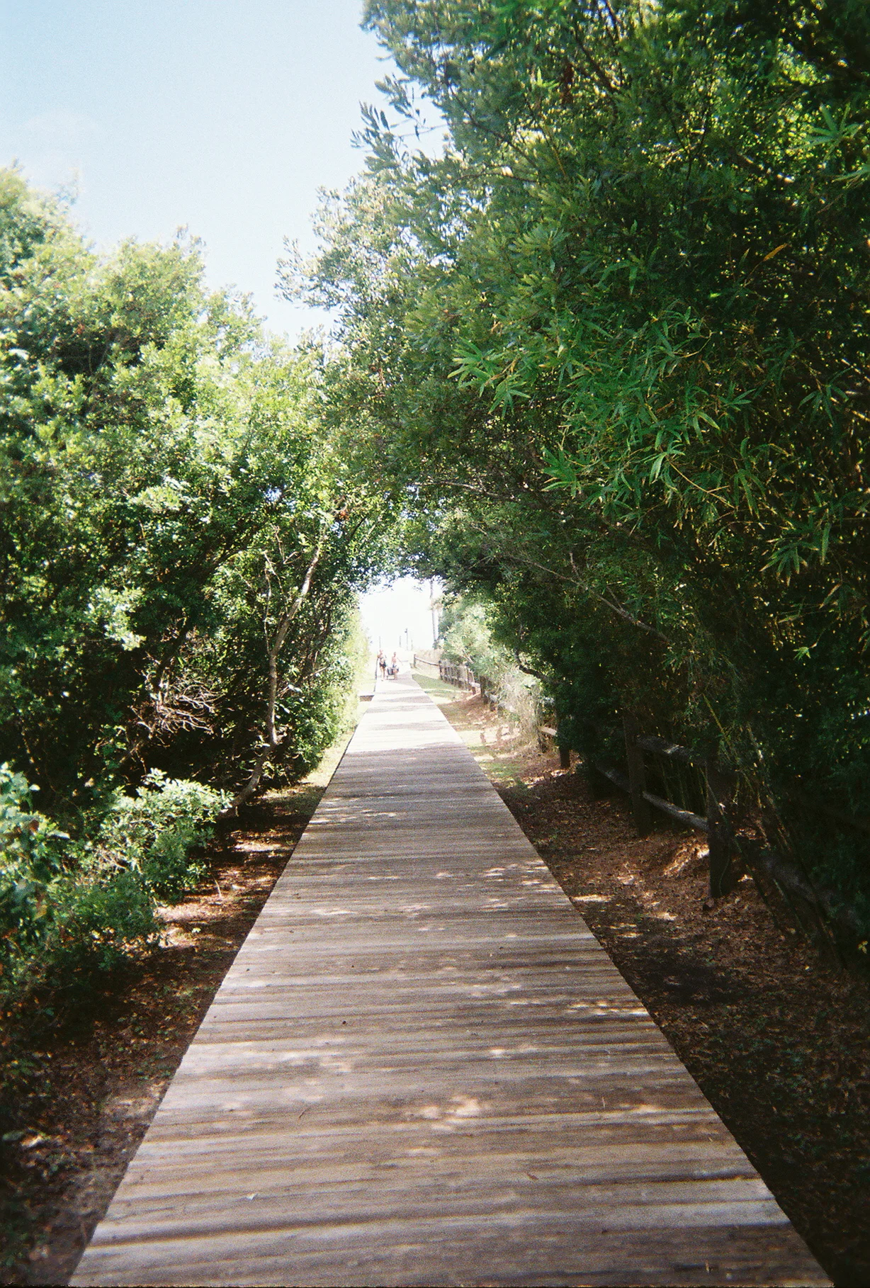 Boardwalk