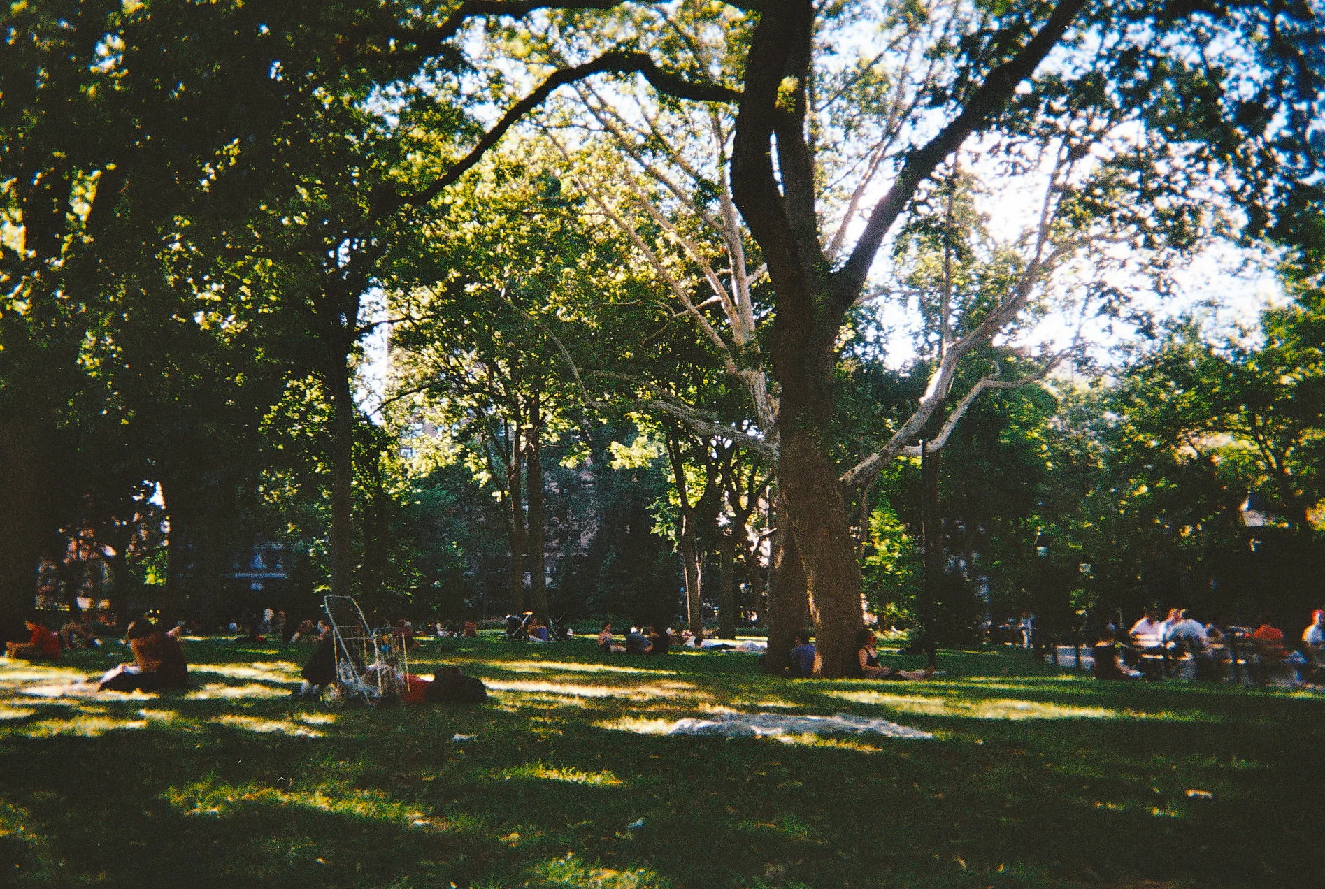 04_1a_15329363228_o.jpg