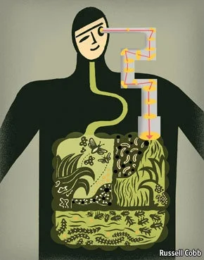 I am SO ready to check out my inner ecosystem!